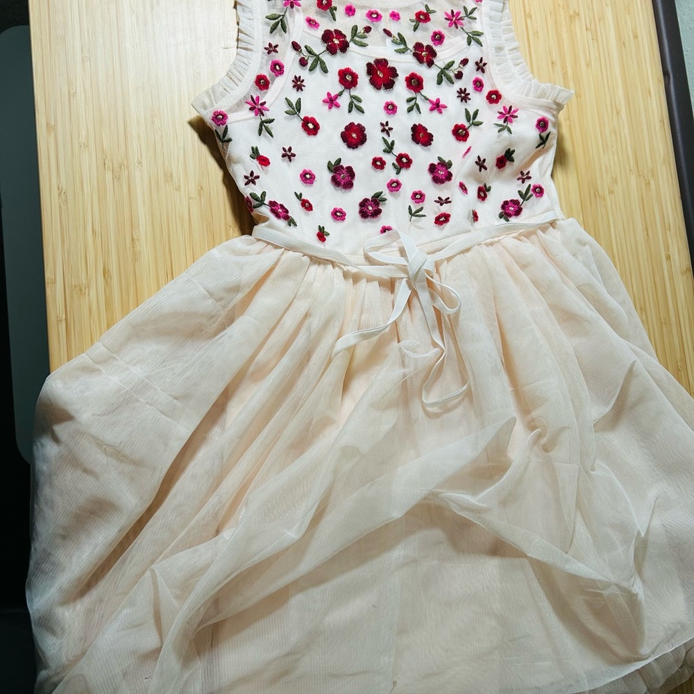 Cat & Jack Cream Dress with Pink and Red Floral Embroidery